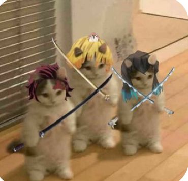 Divine Beauty Essentials Cosmetic